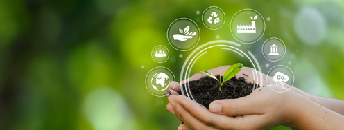 gamma-am sustainability